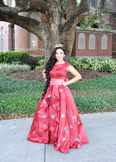 Princess Elena of Avalor Party